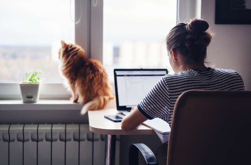 How to Stay Sane While Working From Home